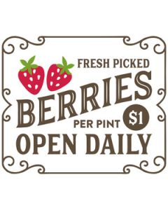 fresh picked berries