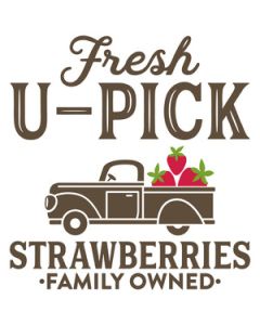 fresh u-pick strawberries