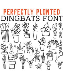 cg perfectly planted dingbats