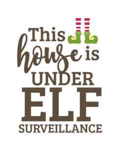 this house is under elf surveillance