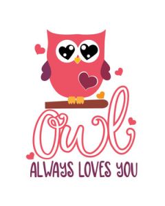 owl always loves you