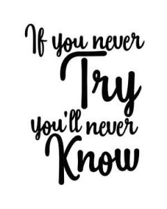 if you never try you'll never know