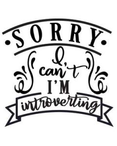 sorry i can't i'm introverting
