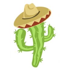 cactus in sombrero
