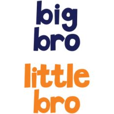 baby t-shirt set: big bro little bro