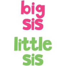 baby t-shirt set: big sis little sis