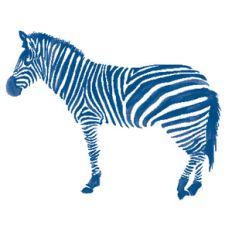 blue zebra