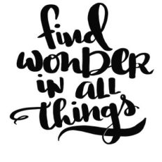 find wonder