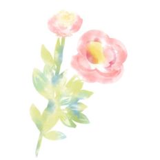 watercolor floral