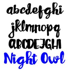 zp night owl