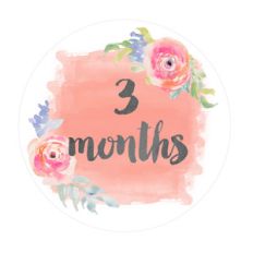 three month onesie sticker