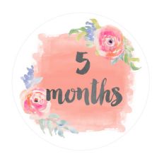 cute 5 month old onesie sticker
