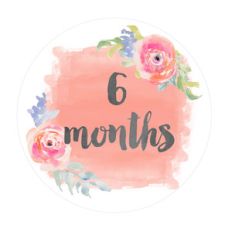 6 month old baby onesie sticker