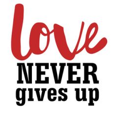 love never gives up quote