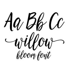 willow bloom modern calligraphy font