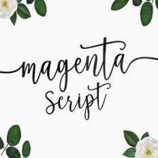 magenta script font