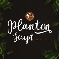 planton script font