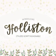 holliston script