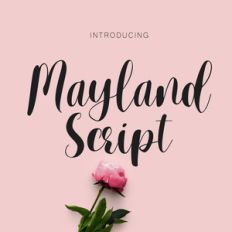 mayland script