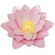 water lily 3d