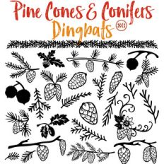 pine cones and conifers dingbats