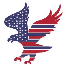american flag eagle design