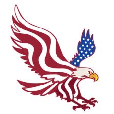 american flag eagle
