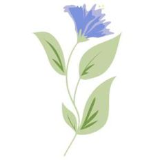 lavender spring flower