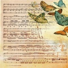butterfly music