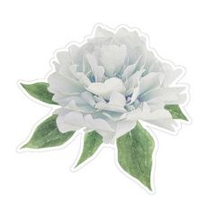 floral digital illustration blue peony