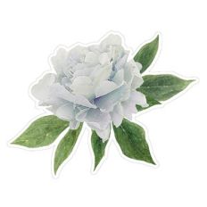 floral digital illustration classic blue peony