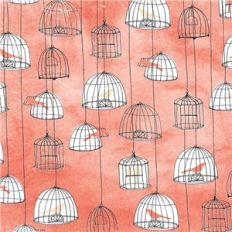 orange bird cages
