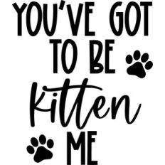 you've got to be kitten me funny cat sign