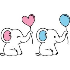 baby elephant girl and boy