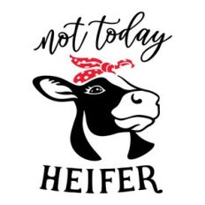 not today heifer