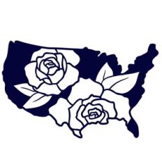 america with flowers