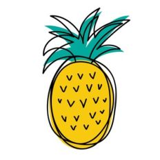 pineapple sketch drawing
