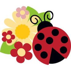 ladybug and flowers