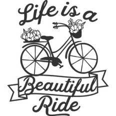 life is a beautiful ride vintage bike