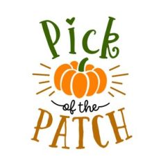pick of the patch