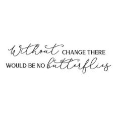 without change there would be no butterflies