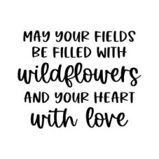 may your fields be filled with wildflowers