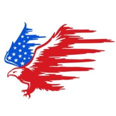 american eagle flag distressed