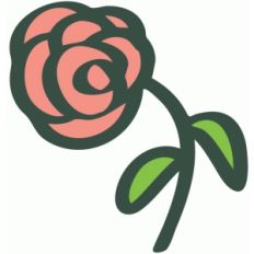 flower - rose