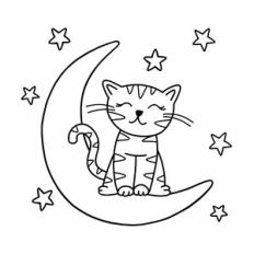 Cute cat with moon and stars