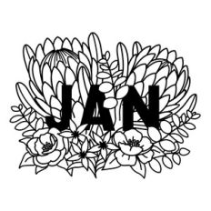 January Protea Flower Calendar Coloring Page