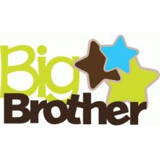 big brother title