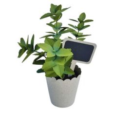 oregano plant with decorative tag