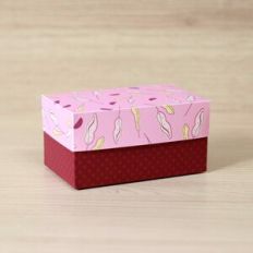 Small retangular cube box
