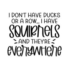 i don't have ducks or a row
